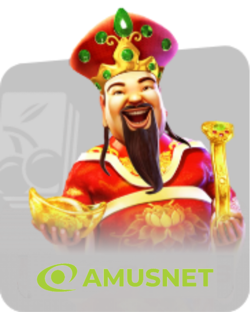 AMUSNET