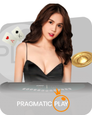 Pragmatic Play Live - Pro
